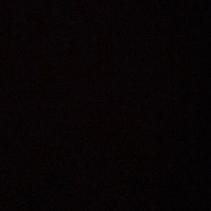 Meet your Posher, Rose